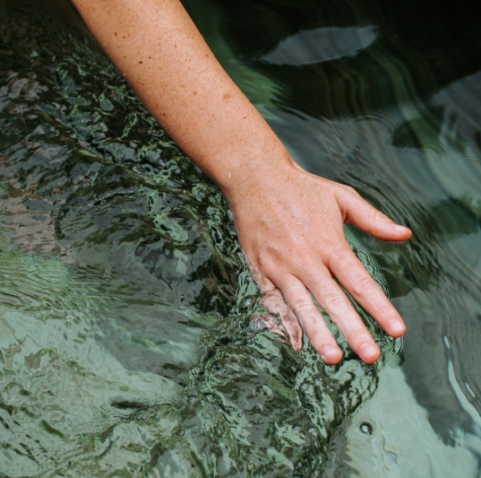 Why water quality is part of the Gut Health conversation